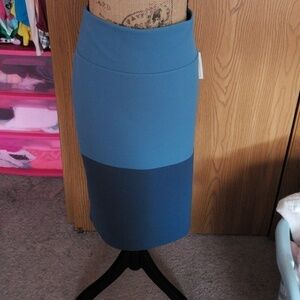 Nwt xl lularoe blue color block cassie.